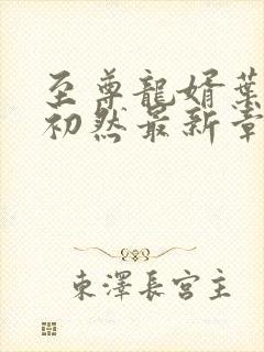 至尊龙婿叶辰萧初然最新章节列表封面