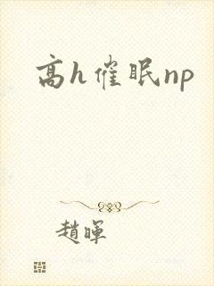 高h催眠np