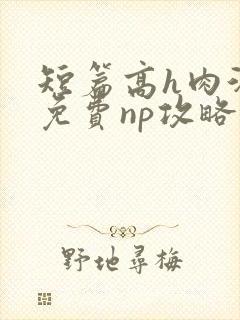 短篇高h肉汁文免费np攻略