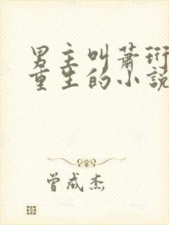 男主叫萧珩女主重生的小说封面