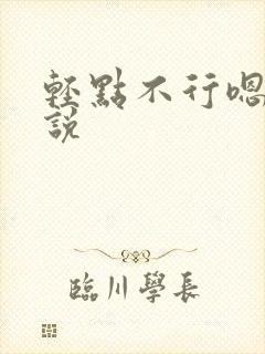 轻点不行嗯啊小说