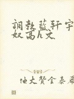 调教蓝轩宇成肉奴高h文封面