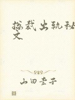 总裁出轨秘书h文封面