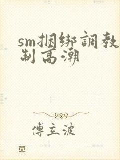 sm捆绑调教强制高潮