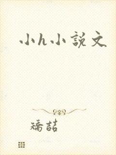 小h小说文