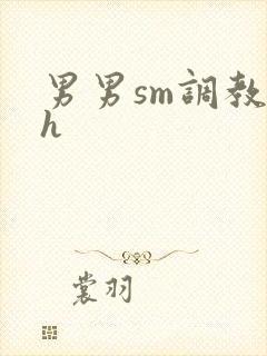 男男sm调教文h