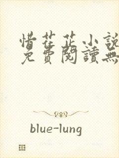 惜花芷小说全文免费阅读无弹窗