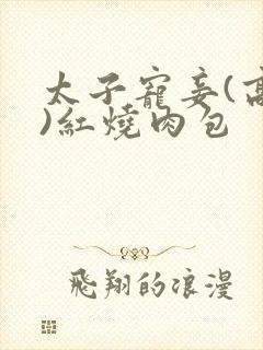 太子宠妾(高肉)红烧肉包封面