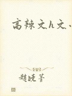 高辣文h文小说