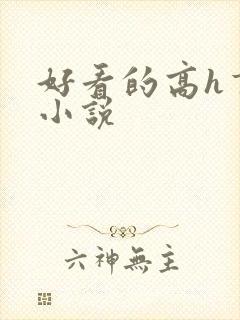 好看的高h言情小说