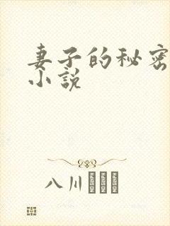 妻子的秘密林凡小说封面