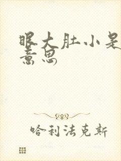 眼大肚小是什么意思