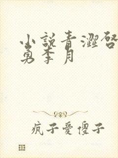 小说青涩启蒙张勇李月封面