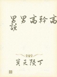 男男高干高h小说