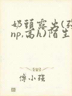 奶头露出(强jnp,高h)陌生人小说小说封面