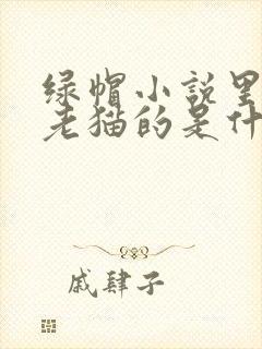 绿帽小说里边有老猫的是什么小说
