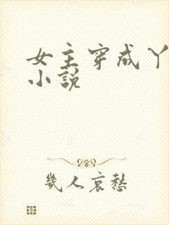 女主穿成丫鬟的小说