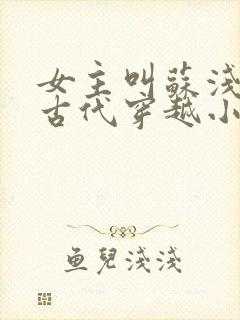 女主叫苏浅浅的古代穿越小说