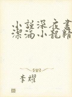 小说深夜书屋纯洁滴小龙精校版封面