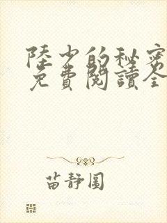 陆少的秘密恋人免费阅读全文封面