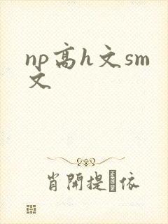 np高h文sm文