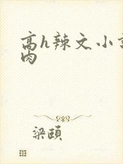 高h辣文小说纯肉