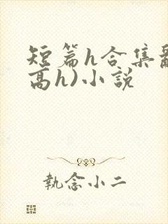 短篇h合集乱(高h)小说