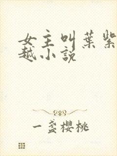 女主叫叶紫的穿越小说