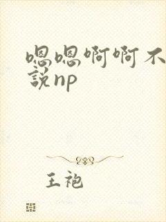 嗯嗯啊啊不要小说np封面