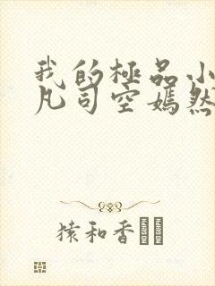 我的极品小姨叶凡司空嫣然