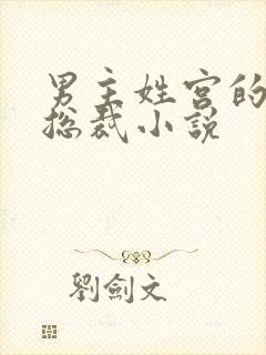 男主姓宫的现代总裁小说