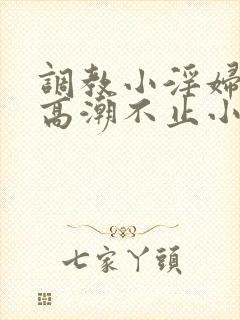 调教小淫妇失禁高潮不止小说封面