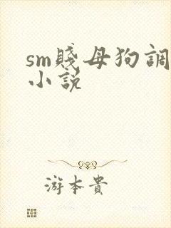 sm贱母狗调教小说