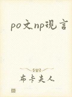 po文np现言