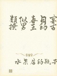 类似春日宴女主撩男主的古言封面