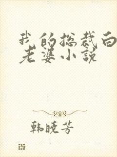 我的总裁白富美老婆小说