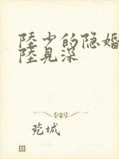 陆少的隐婚罪妻陆见深