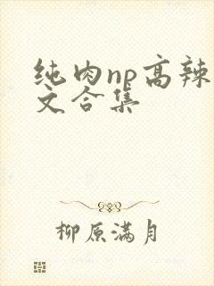 纯肉np高辣h文合集