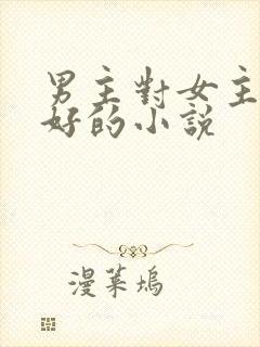 男主对女主特别好的小说