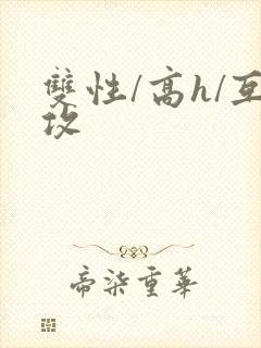 双性/高h/互攻