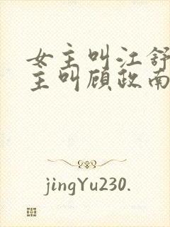 女主叫江舒棠男主叫顾政南的小说