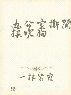 办公室撕开奶罩揉吮胸