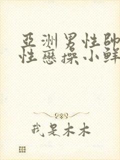 亚洲男性帅哥同性恋操小鲜肉逼