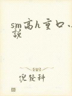 sm高h重口小说