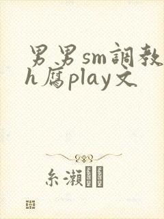 男男sm调教高h腐play文