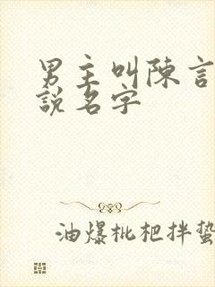 男主叫陈言的小说名字