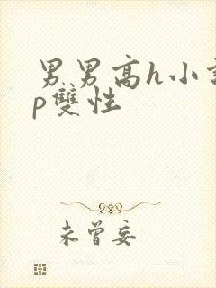 男男高h小说np双性封面