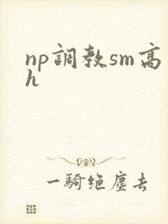 np调教sm高h