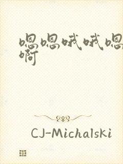 嗯嗯哦哦嗯啊啊啊封面