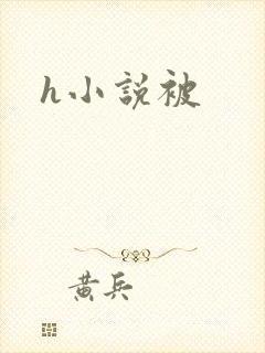 h小说被